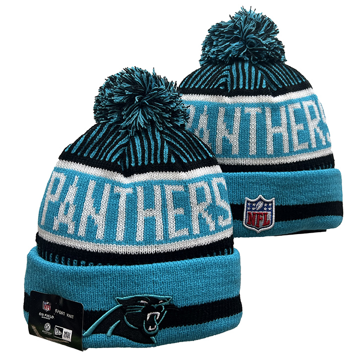 Carolina Panthers 2025 Knit Hats 006